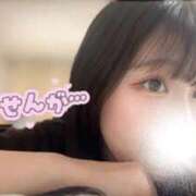 ヒメ日記 2025/12/29 22:09 投稿 なの お姉京都