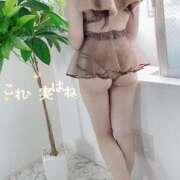 ヒメ日記 2026/01/24 08:12 投稿 なの お姉京都