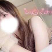 ヒメ日記 2026/02/17 14:32 投稿 なの お姉京都