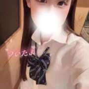 ヒメ日記 2026/03/17 08:22 投稿 なの お姉京都