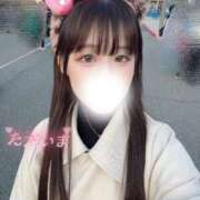 ヒメ日記 2026/03/20 17:02 投稿 なの お姉京都