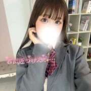 ヒメ日記 2026/03/23 05:24 投稿 なの お姉京都