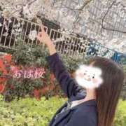 ヒメ日記 2026/04/07 05:12 投稿 なの お姉京都