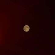 ゆうき 深夜でも呼んで🥺 サンキュー仙台店