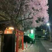 ヒメ日記 2026/04/06 03:05 投稿 ゆうき サンキュー仙台店