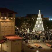 ヒメ日記 2025/12/22 23:41 投稿 かな 美妻隊