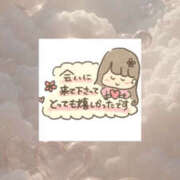 ヒメ日記 2025/12/29 07:46 投稿 かな 美妻隊