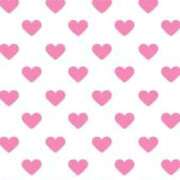 ヒメ日記 2025/09/09 09:09 投稿 うる 治療院.LOVE小山店