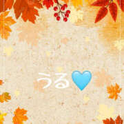 ヒメ日記 2025/09/28 15:06 投稿 うる 治療院.LOVE小山店