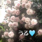 ヒメ日記 2025/09/29 00:18 投稿 うる 治療院.LOVE小山店