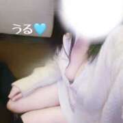 ヒメ日記 2025/10/15 17:03 投稿 うる 治療院.LOVE小山店