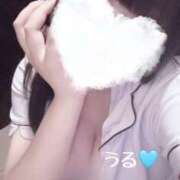 ヒメ日記 2025/11/15 17:12 投稿 うる 治療院.LOVE小山店