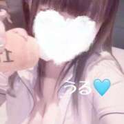 ヒメ日記 2025/11/16 15:03 投稿 うる 治療院.LOVE小山店