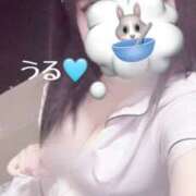 ヒメ日記 2025/11/20 15:03 投稿 うる 治療院.LOVE小山店