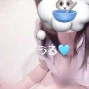 ヒメ日記 2025/11/24 15:03 投稿 うる 治療院.LOVE小山店