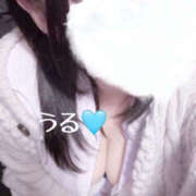 ヒメ日記 2025/12/01 21:21 投稿 うる 治療院.LOVE小山店