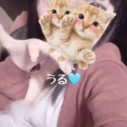 ヒメ日記 2025/12/28 15:03 投稿 うる 治療院.LOVE小山店