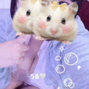 ヒメ日記 2026/01/18 18:03 投稿 うる 治療院.LOVE小山店