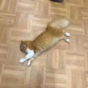 ヒメ日記 2025/11/15 14:05 投稿 みずほ エンジェルハンズ