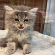 みずほ 待機中です(^^) エンジェルハンズ