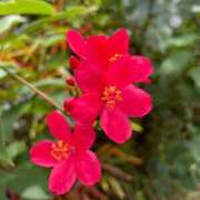 ヒメ日記 2025/09/13 07:15 投稿 美影里英 ローテンブルク