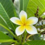 ヒメ日記 2025/09/14 07:15 投稿 美影里英 ローテンブルク