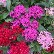 ヒメ日記 2025/09/16 07:15 投稿 美影里英 ローテンブルク