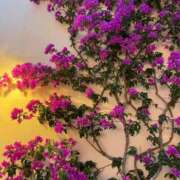 ヒメ日記 2025/09/26 07:15 投稿 美影里英 ローテンブルク