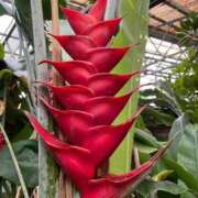 ヒメ日記 2025/09/28 08:30 投稿 美影里英 ローテンブルク