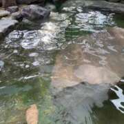 ヒメ日記 2025/09/30 12:15 投稿 美影里英 ローテンブルク