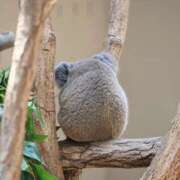 ヒメ日記 2025/12/28 10:56 投稿 Michiru ワンカラット～人妻の輝き～