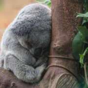 ヒメ日記 2026/01/01 11:00 投稿 Michiru ワンカラット～人妻の輝き～