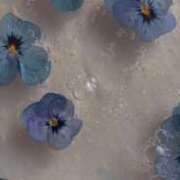 ルルカ 出勤しました マテリアル