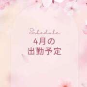 りりか 4月の出勤予定💛 Versailles