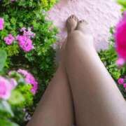 ヒメ日記 2025/09/15 10:22 投稿 さら☆ 豊橋豊川ちゃんこ