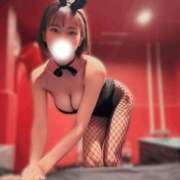 ヒメ日記 2025/11/09 10:03 投稿 ピリカ バニーコレクション秋田店