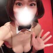 ヒメ日記 2025/11/13 10:53 投稿 ピリカ バニーコレクション秋田店