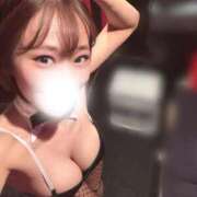 ヒメ日記 2025/12/14 15:23 投稿 ピリカ バニーコレクション秋田店