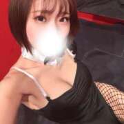 ヒメ日記 2026/01/24 16:16 投稿 ピリカ バニーコレクション秋田店