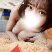 ヒメ日記 2026/01/28 15:21 投稿 ピリカ バニーコレクション秋田店