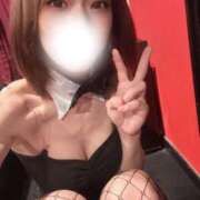 ヒメ日記 2026/06/15 11:37 投稿 ピリカ バニーコレクション秋田店