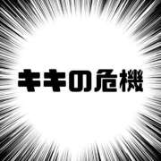 樹希(きき) 🦆整体師のキキです🦆 相模原人妻城