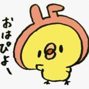 ヒメ日記 2025/10/11 09:59 投稿 神城　さつき 30・40・50代☆人妻熟女コレクション