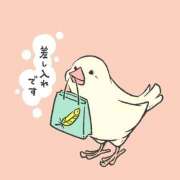 ヒメ日記 2025/10/31 11:05 投稿 神城　さつき 30・40・50代☆人妻熟女コレクション