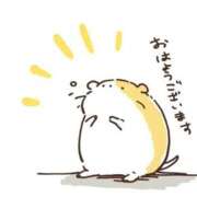 ヒメ日記 2025/12/28 10:55 投稿 神城　さつき 30・40・50代☆人妻熟女コレクション