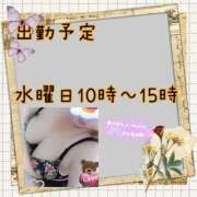 ヒメ日記 2025/09/14 14:20 投稿 しのぶ 即トク奥さん