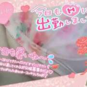 ヒメ日記 2025/09/17 08:40 投稿 しのぶ 即トク奥さん