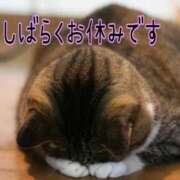 ヒメ日記 2025/10/05 09:00 投稿 しのぶ 即トク奥さん