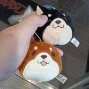 ヒメ日記 2025/10/20 19:20 投稿 しのぶ 即トク奥さん