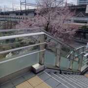 ヒメ日記 2026/03/19 11:10 投稿 しのぶ 即トク奥さん